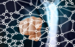 爱游戏综合娱乐-中国篮球职业联赛青训体系的结构优化，中国青年篮球联赛简称