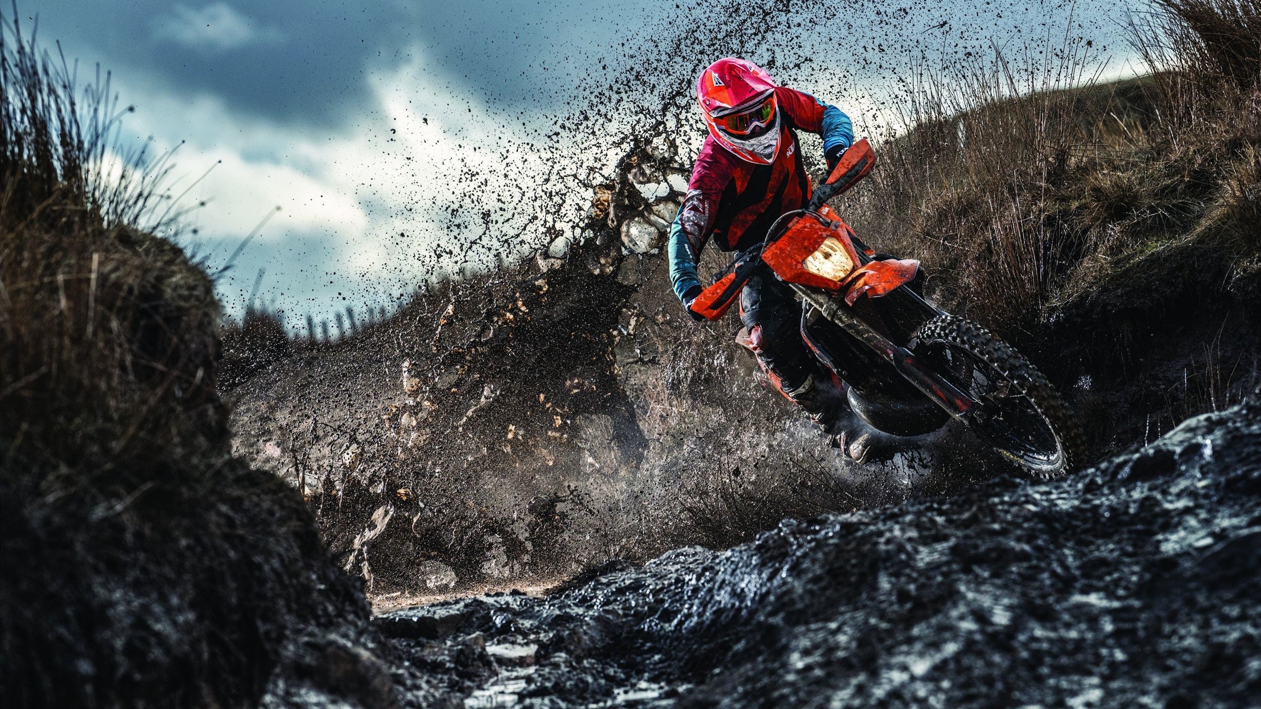 爱游戏平台-美国马术协会设立“Mustang Challenge”奖学金，支持传统马术研究。