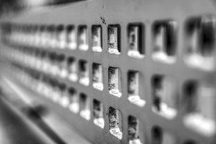 爱游戏官方网站-高校运动训练科学管理模式创新实践，运动训练科研管理工作要求