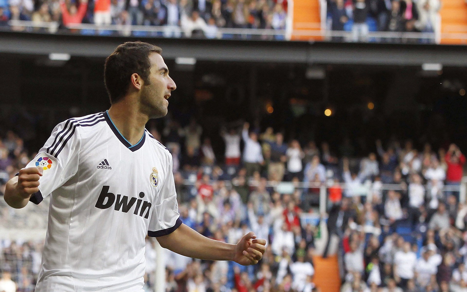 团队精神:赢得比赛的核心力量,团队精神的含义与作用